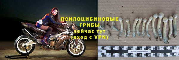 ALPHA-PVP Бородино