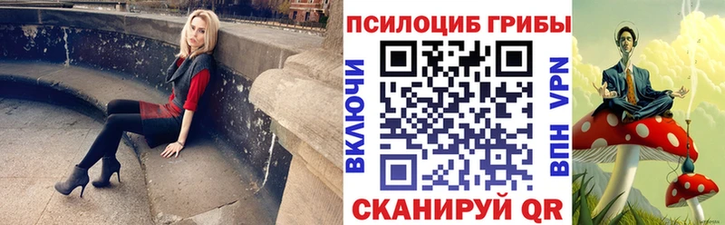 Купить закладки  Верхний Уфалей  Псилоцибиновые грибы Psilocybe 